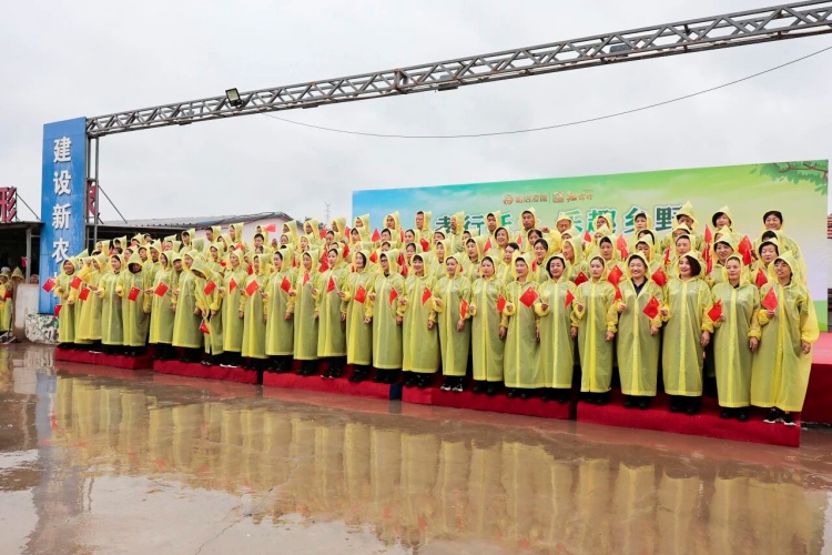 1761545165886458.jpg 161.jpg