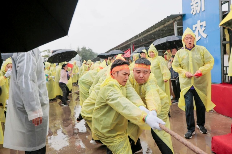 1761545180183944.jpg 163.jpg