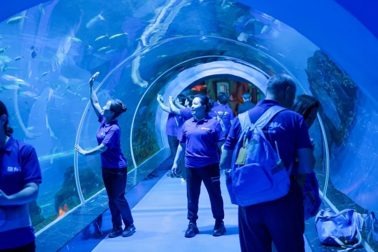 1761545320353955.jpg 183.jpg