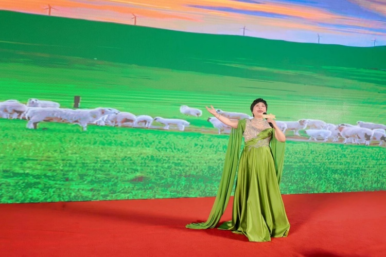 1761546148333068.jpg 252.jpg